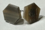 Baleen Stud Earrings - Image 2