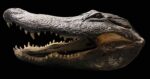 Extra Large Alligator Mount - Image 2