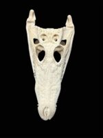 Siamese Crocodile (Asia) - Image 3