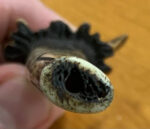 Central American Folk Art Peace Pipe - Image 7